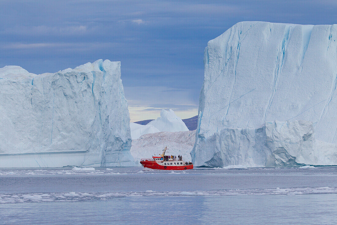  Tourist boat in front of icebergs, Kangia Icefjord, Disko Bay, UNESCO World Heritage Site, West Greenland, Greenland 