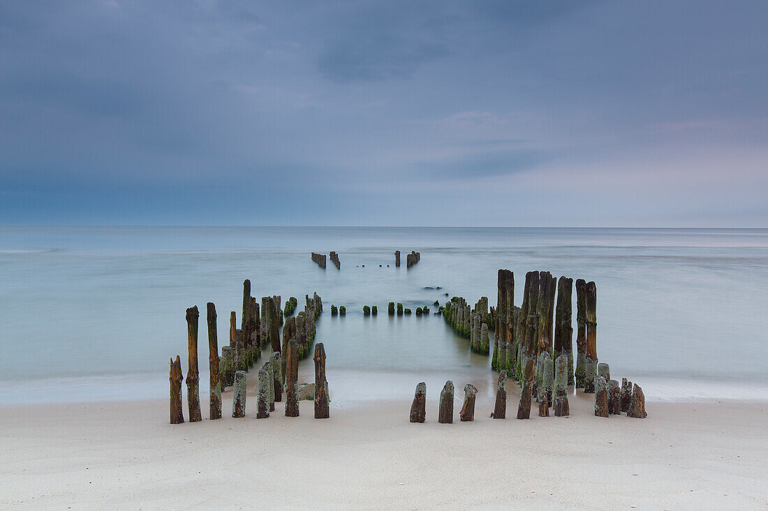  Old groynes near Rantum, Sylt, Schleswig-Holstein, Germany 