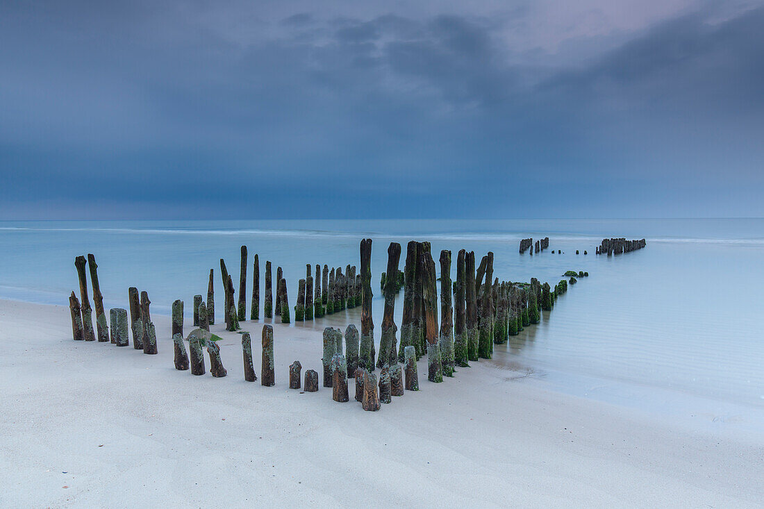  Old groynes near Rantum, Sylt, Schleswig-Holstein, Germany 