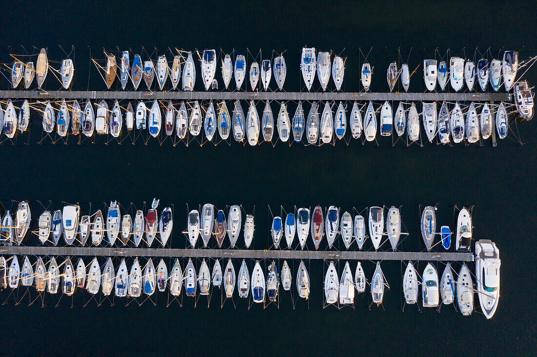 Blick auf dir Segelboote in der Marina, Schleswig-Holstein, Deutschland