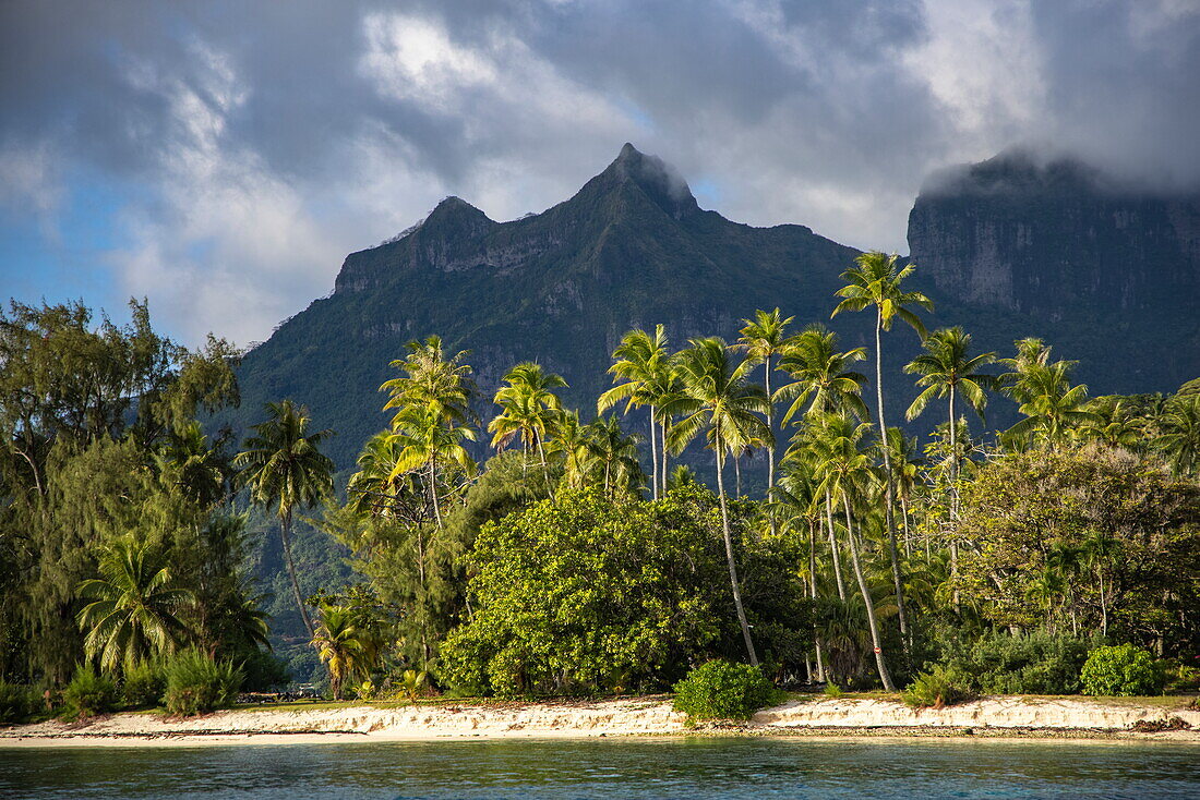 Strand mit Kokosnusspalmen und Bergkulisse, Bora Bora, Leeward-Inseln, Französisch-Polynesien, Südpazifik