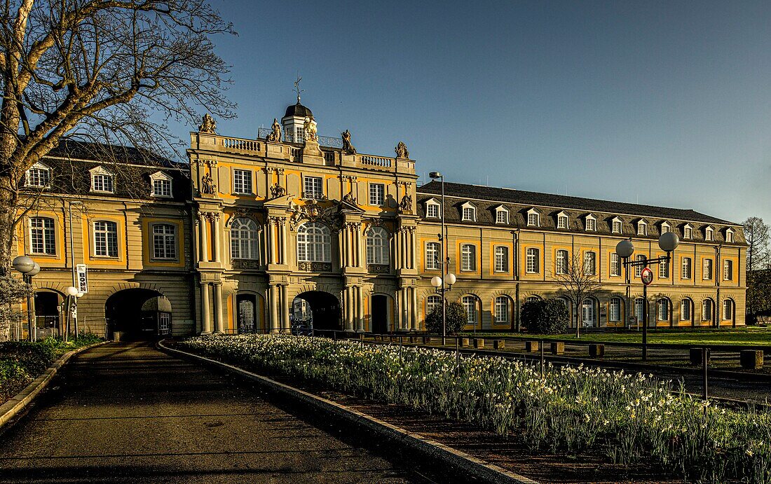  Electoral Palace with Koblenz Gate in spring, Bonn, NRW, Germany 