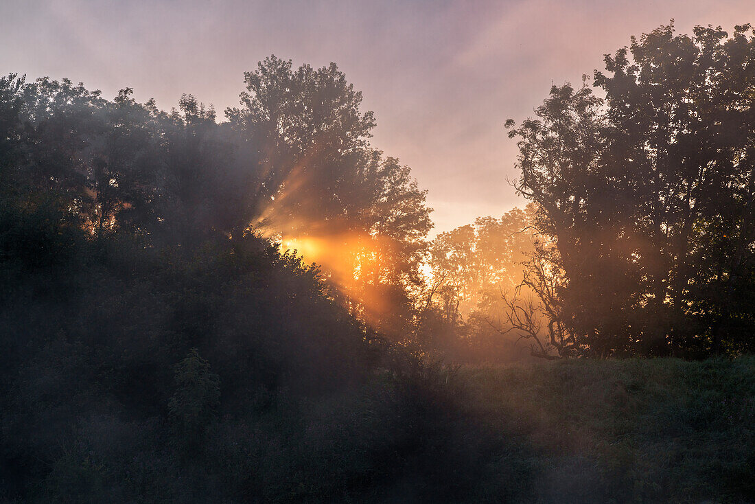  Sunrise at the Ammerdamm near Weilheim in late summer, Weilheim, Bavaria, Germany 