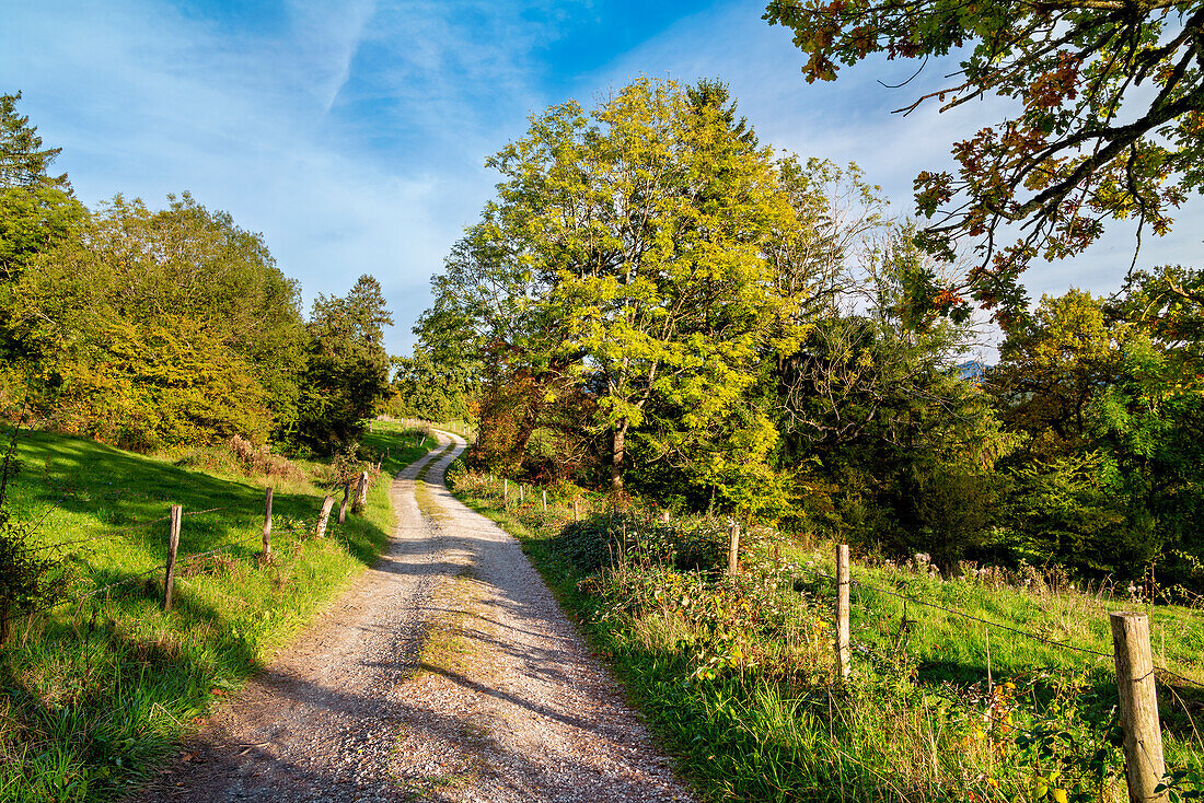 Wanderweg auf der Aidlinger Höhe, Aidling, Murnau, Bayern, Deutschland, Europa