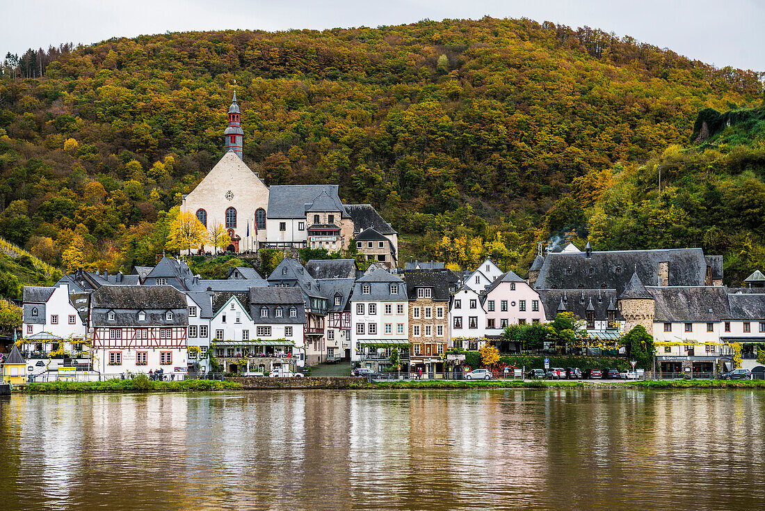  Autumnal forest and picturesque village, Beilstein, Mosel, Rhineland-Palatinate, Germany 