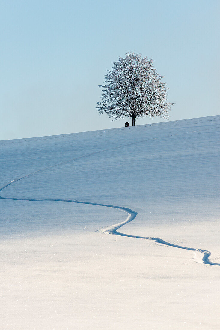  snowy landscape, St Peter, Black Forest, Baden-Württemberg, Germany 