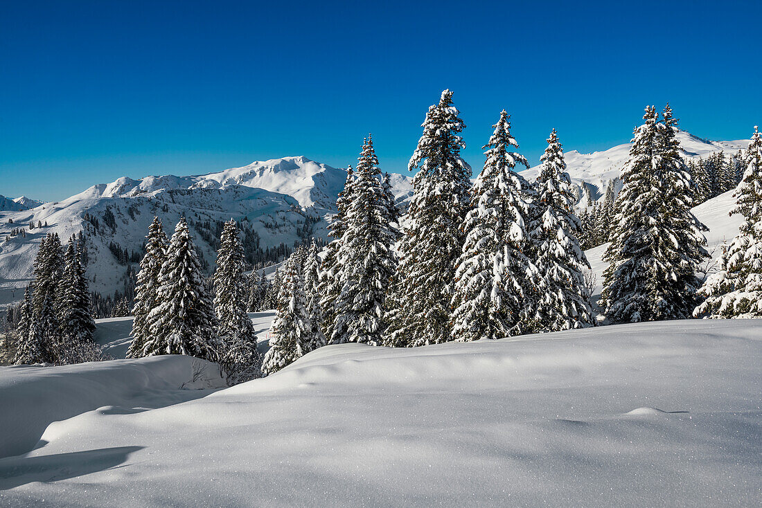  Snowy mountain landscape, Damüls, Bregenzerwald, Vorarlberg, Austria 