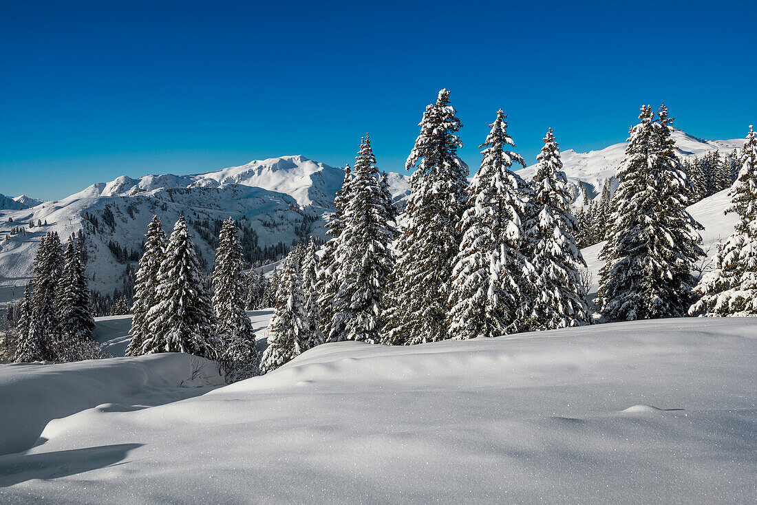 Verschneite Berglandschaft, Damüls, Bregenzerwald, Vorarlberg, Österreich