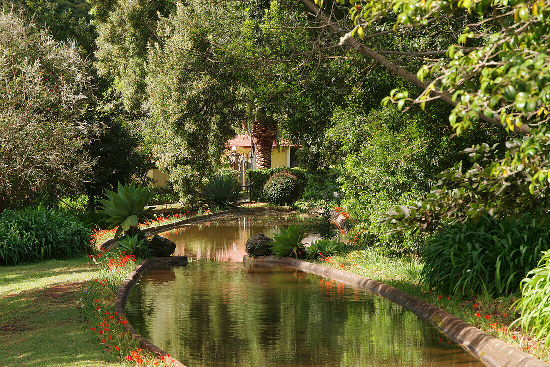  Madeira, Palheiro Garden, Pond 