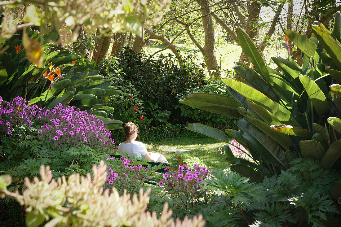  Madeira, Palheiro Garden, woman on garden bench in front of Geranium Maderense, the Madeira cranesbill 