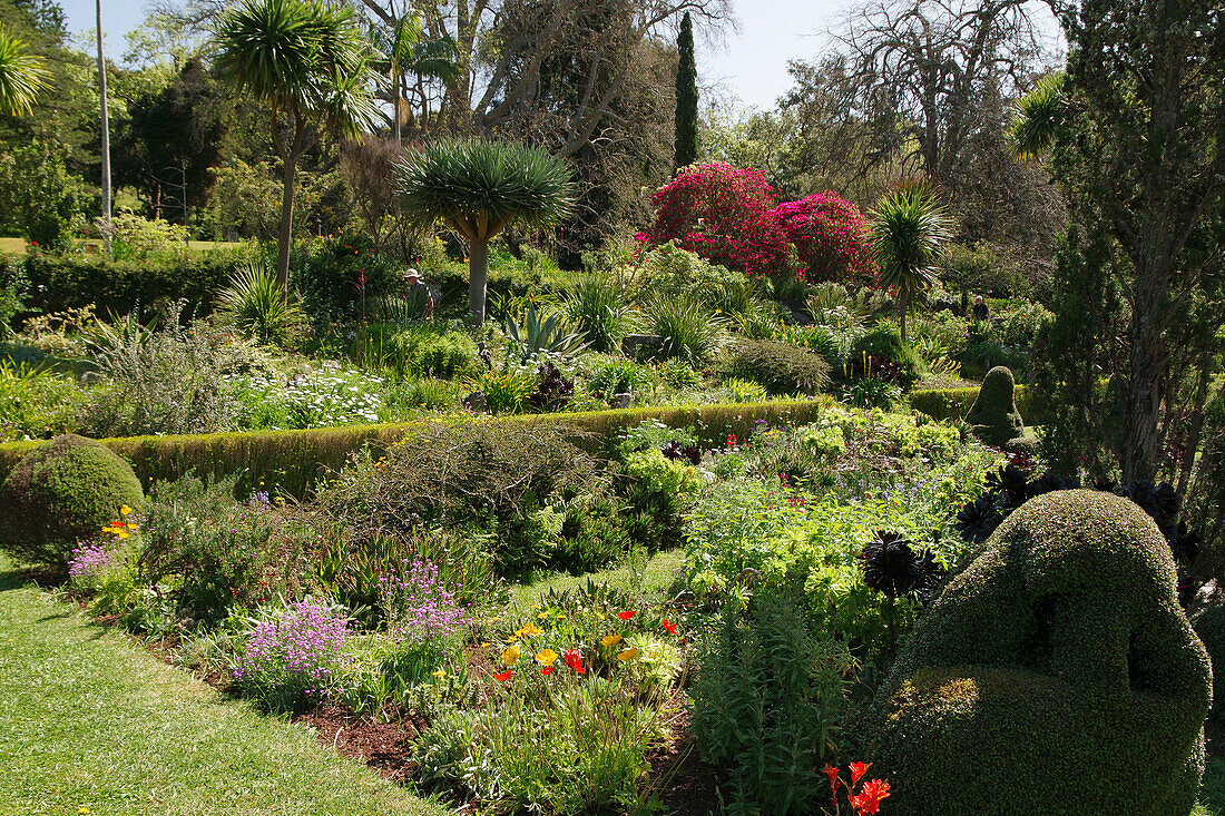  Madeira, Palheiro Garden 