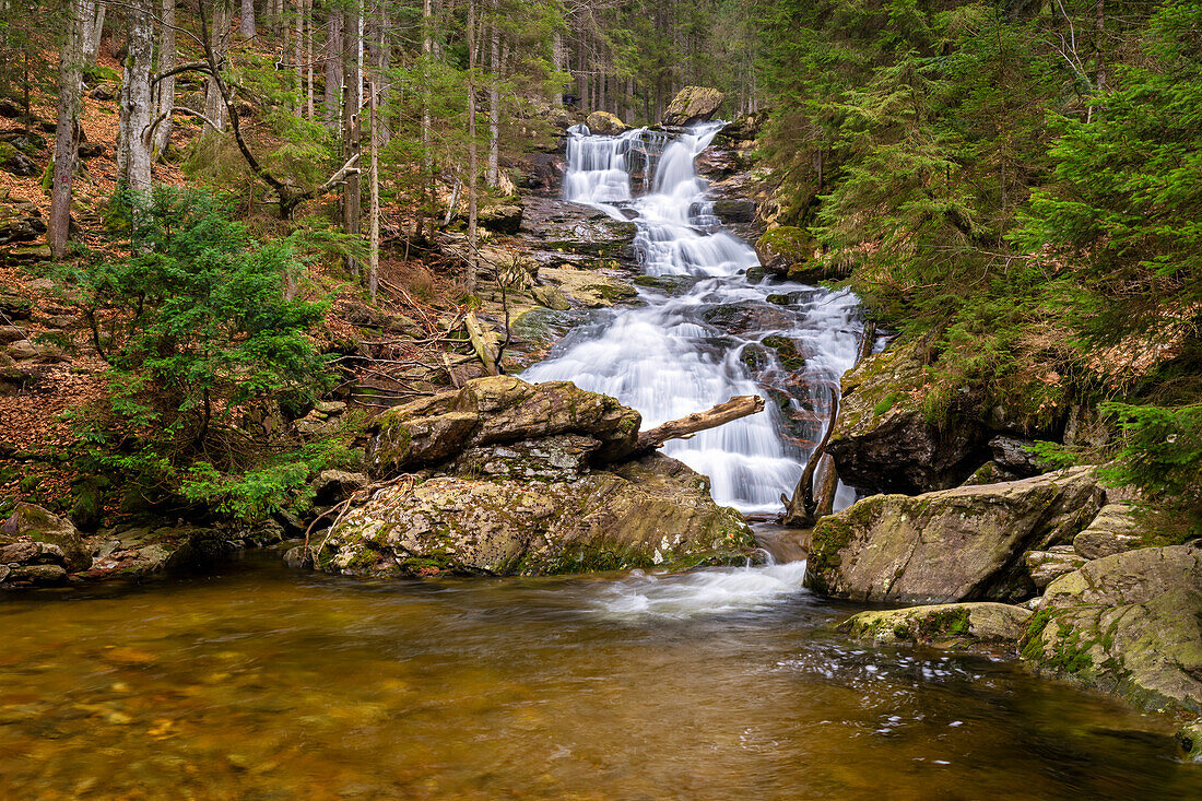 An den Risslochfällen bei Bodenmais, Bayerischer Wald, Bayern, Deutschland, Europa