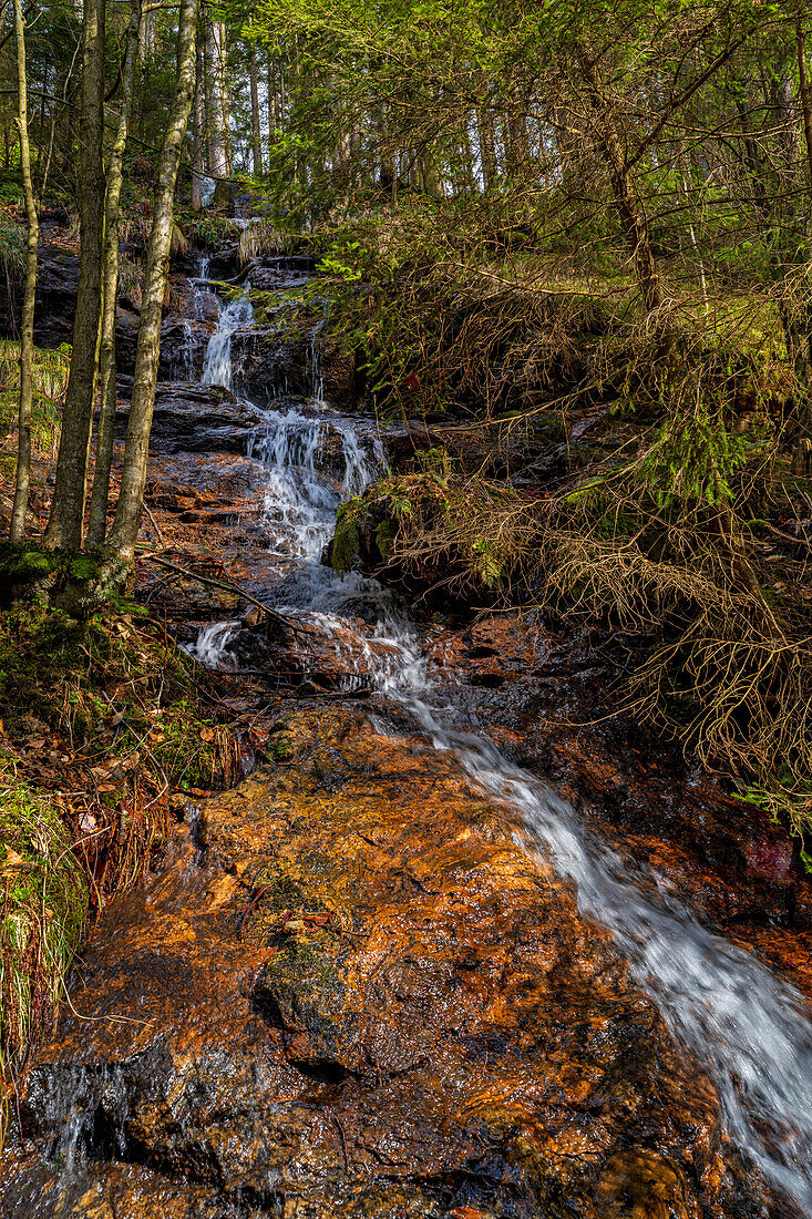  Small tributary of the Moosbach near Bodenmais, Bavarian Forest, Bavaria, Germany, Europe 