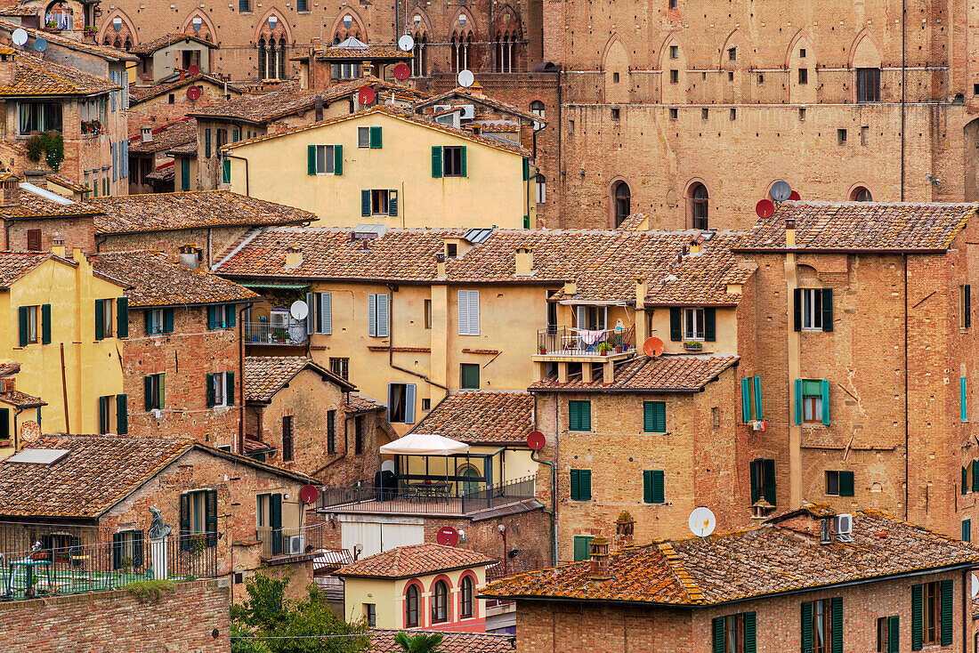  Roofscape in Siena, Tuscany, Italy 