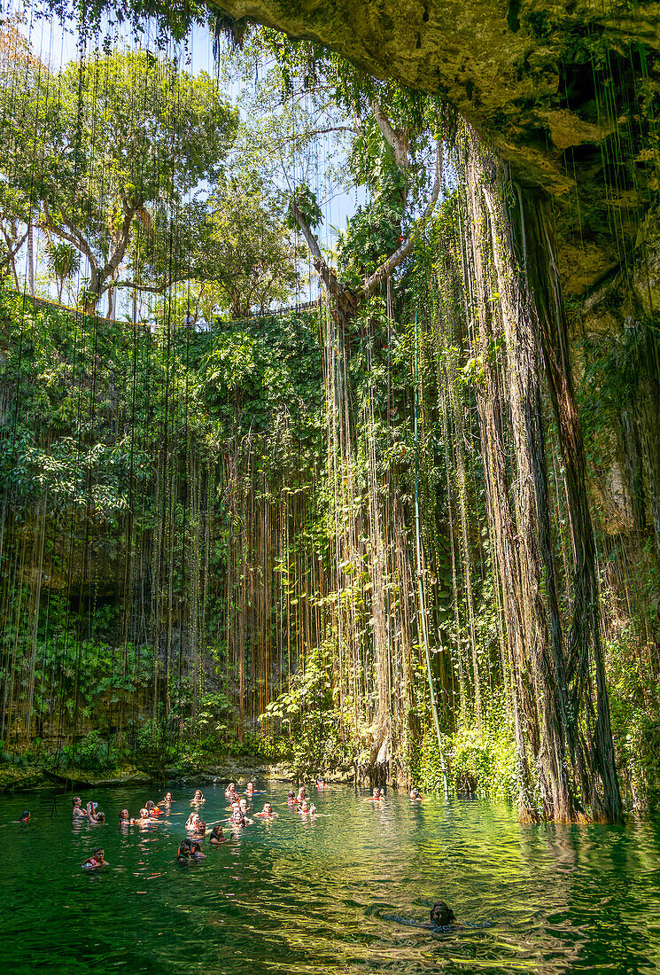 Menschen schwimmen im Kalksteinbecken, Cenote Ik Kil, Pisté, Yucatan, Mexiko