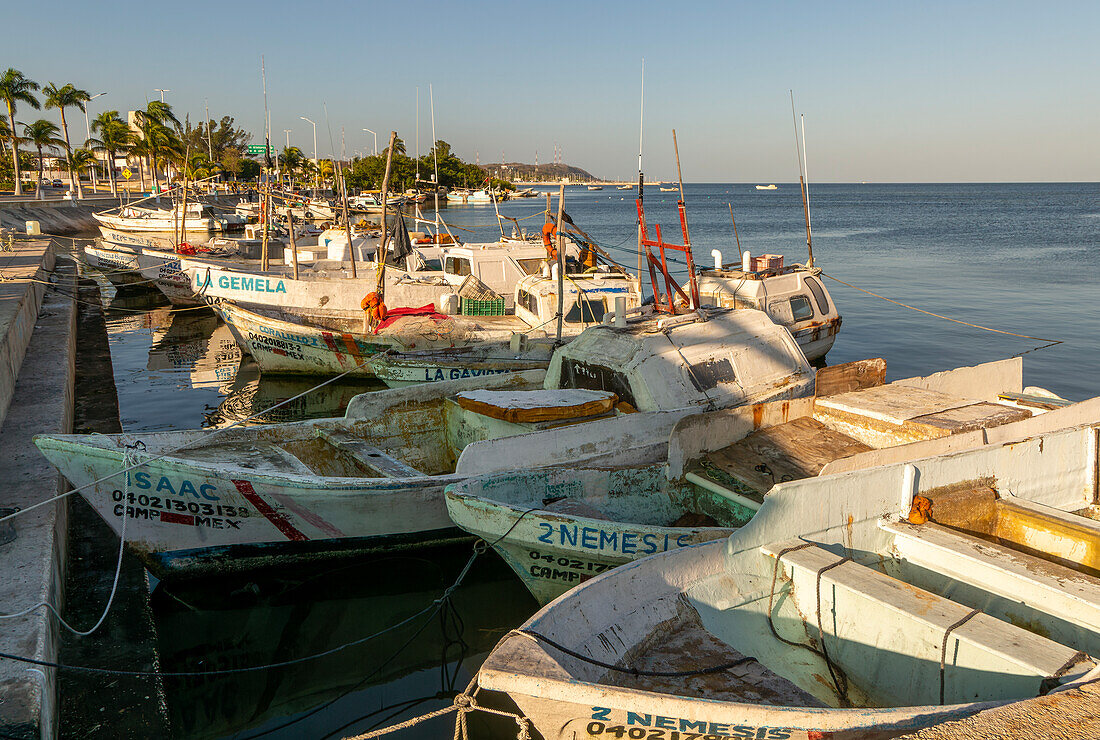 Kleine Fischerboote im Hafen, Stadt Campeche, Bundesstaat Campeche, Mexiko