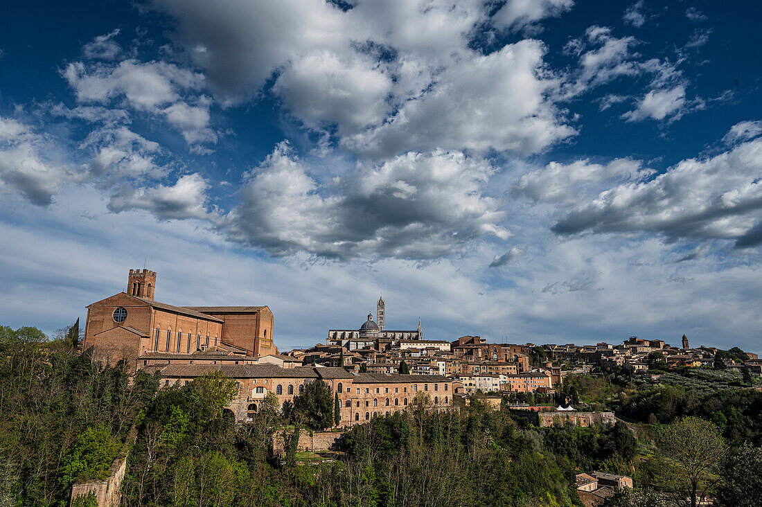  View of the old town cathedral with tower, left church Basilica di San Domenico, Siena, Tuscany region, Italy, Europe 