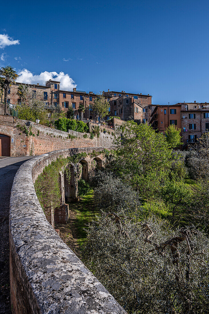  View of green garden and old town, Siena, Tuscany region, Italy, Europe 