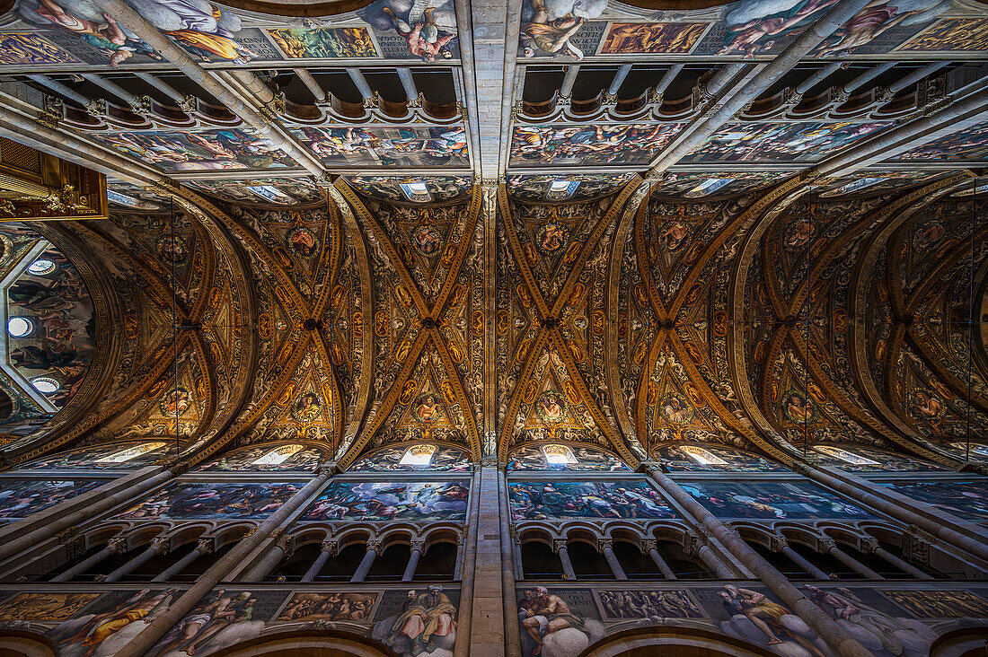 Prunkvolles Deckengewölbe im Innenraum im Dom Santa Maria Assunta, Cattedrale di Parma, Piazza Duomo, Provinz Parma, Emilia-Romagna, Italien, Europa