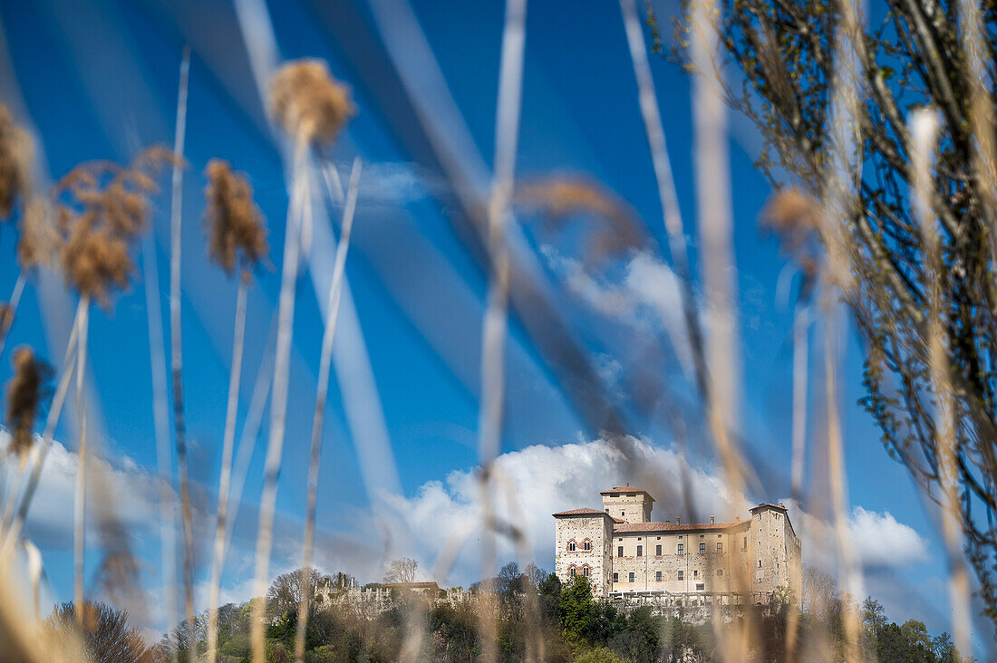 Blick zum Schloss Rocca di Angera in Angera, Provinz Varese, Lago Maggiore, Lombardei, Italien, Europa