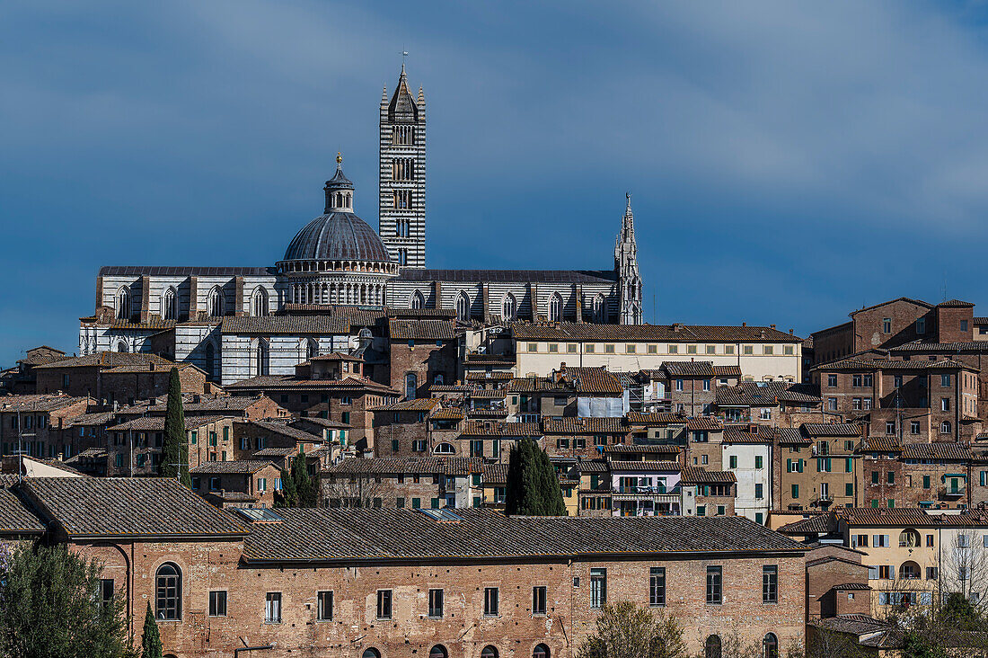  View of old town cathedral with tower, Siena, Tuscany region, Italy, Europe 