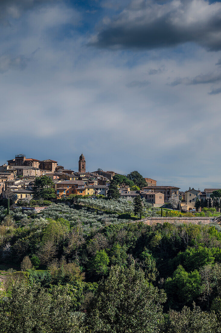 Blick auf Altstadt, Siena, Region Toskana, Italien, Europa