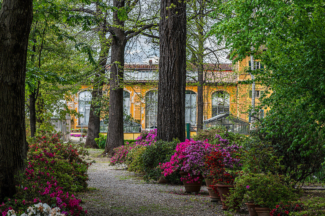 Parkanlage, Botanischer Garten, Florenz, Region Toskana, Italien, Europa