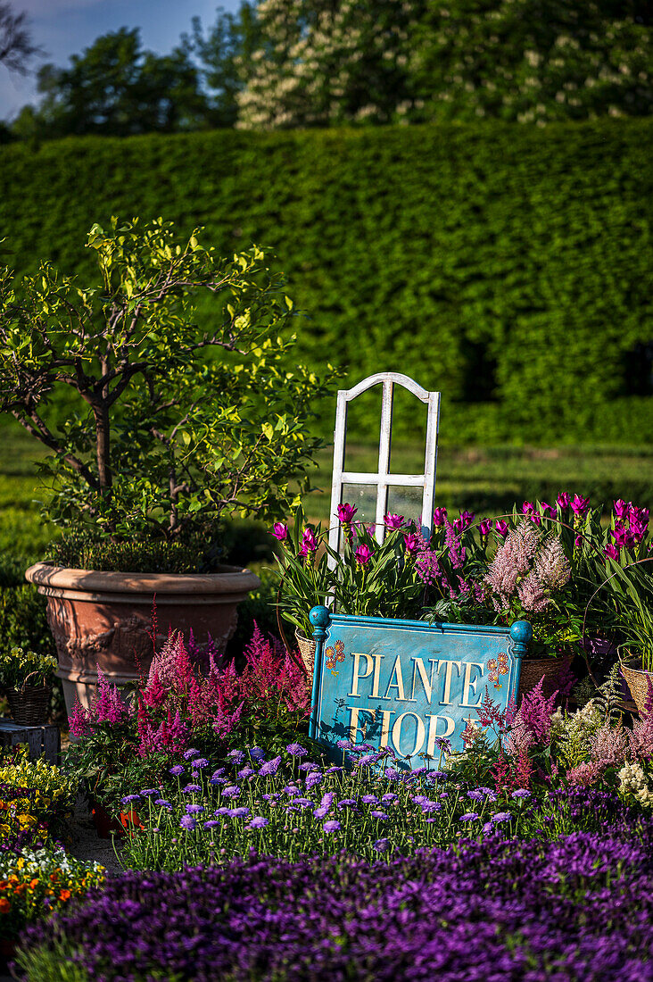 Gartenausstellung im Park, Palazzo Ducale, Herzogspalast Reggia di Colorno, Colorno, Provinz Parma Emilia-Romagna, Italien, Europa