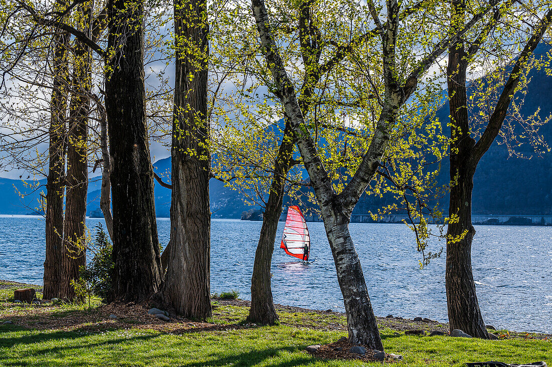 Strand mit Surfer auf dem See in Maccagno, Provinz Varese, Lago Maggiore, Lombardei, Italien