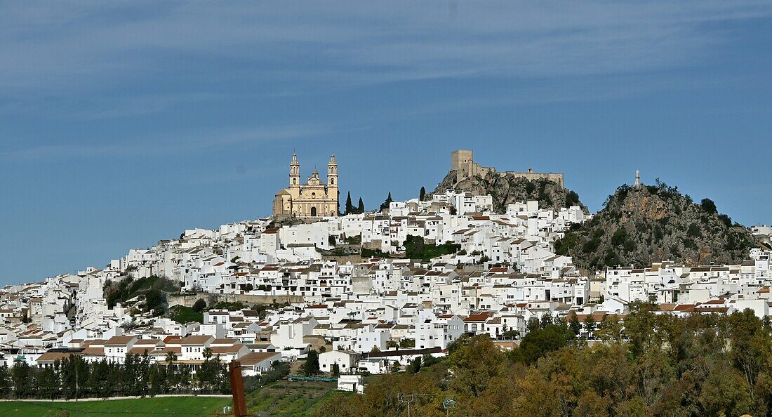 Blick auf Ort und Iglesia Mayor de Olvera, an der Straße der weißen Dörfer 'Pueblos Blancos', Olvera, Provinz Cádiz, Andalusien, Spanien