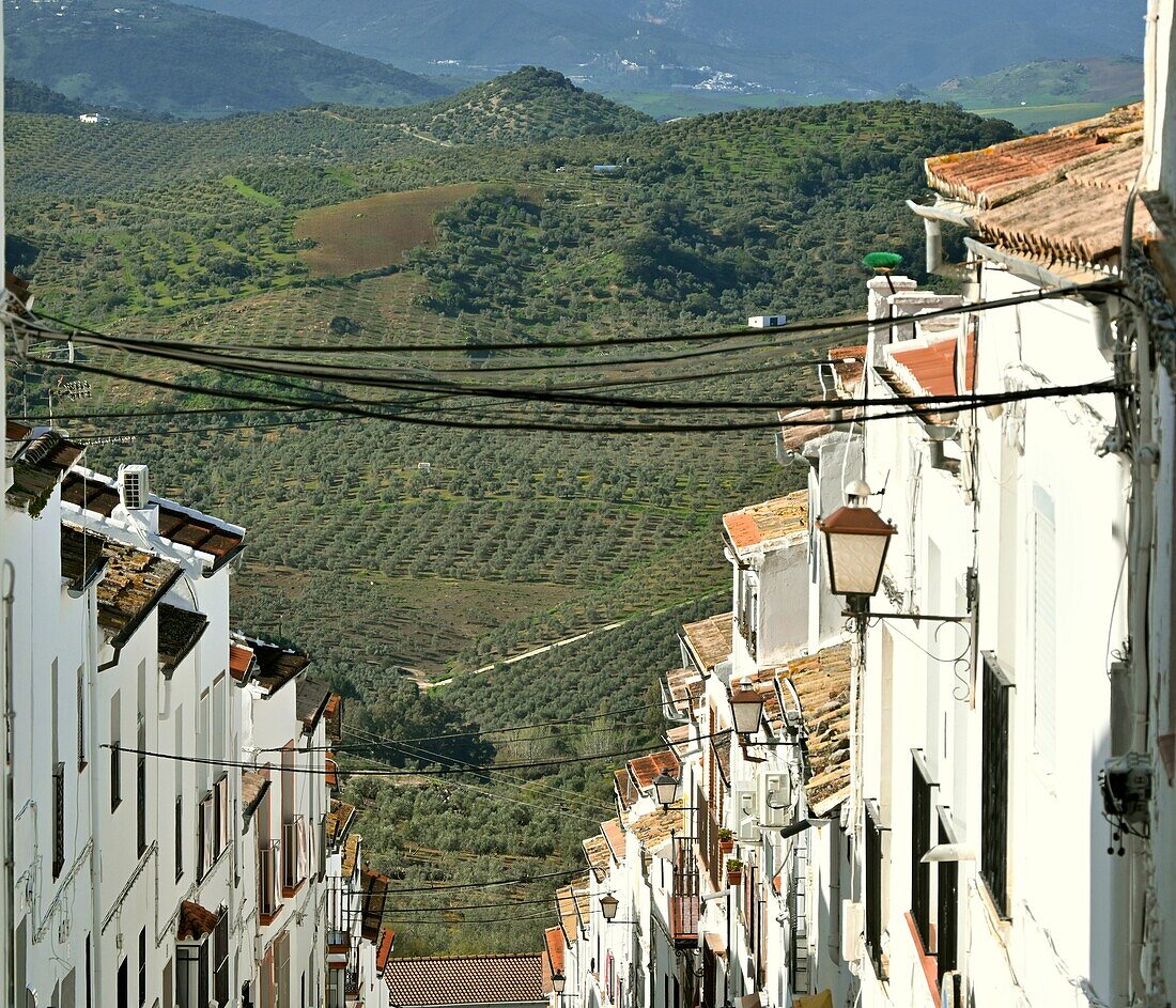  View from Olvera with landscape on the road of the white villages, Andalusia, Spain 