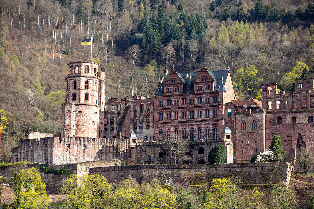  Ruins of Heidelberg Castle, Heidelberg, Baden-Württemberg, Germany, Europe 