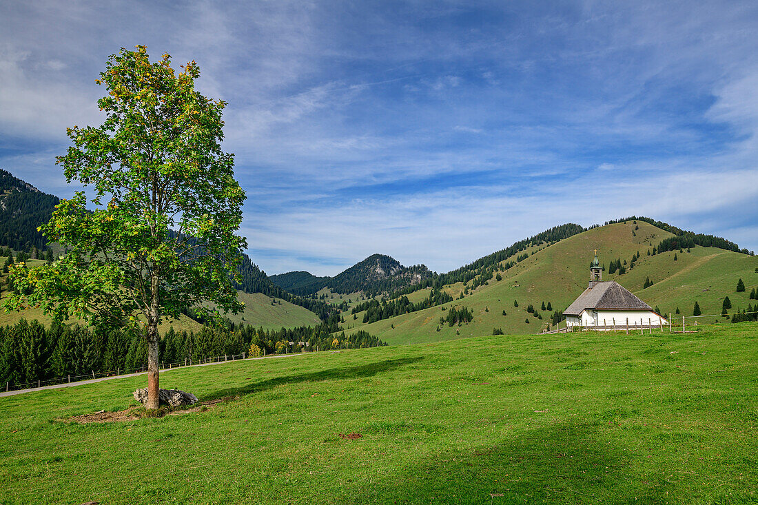  Church of St. Leonhard on a green meadow with peaks of the Mangfall Mountains in the background, Grafenherberg, Sudelfeld, Bavarian Alps, Upper Bavaria, Bavaria, Germany 