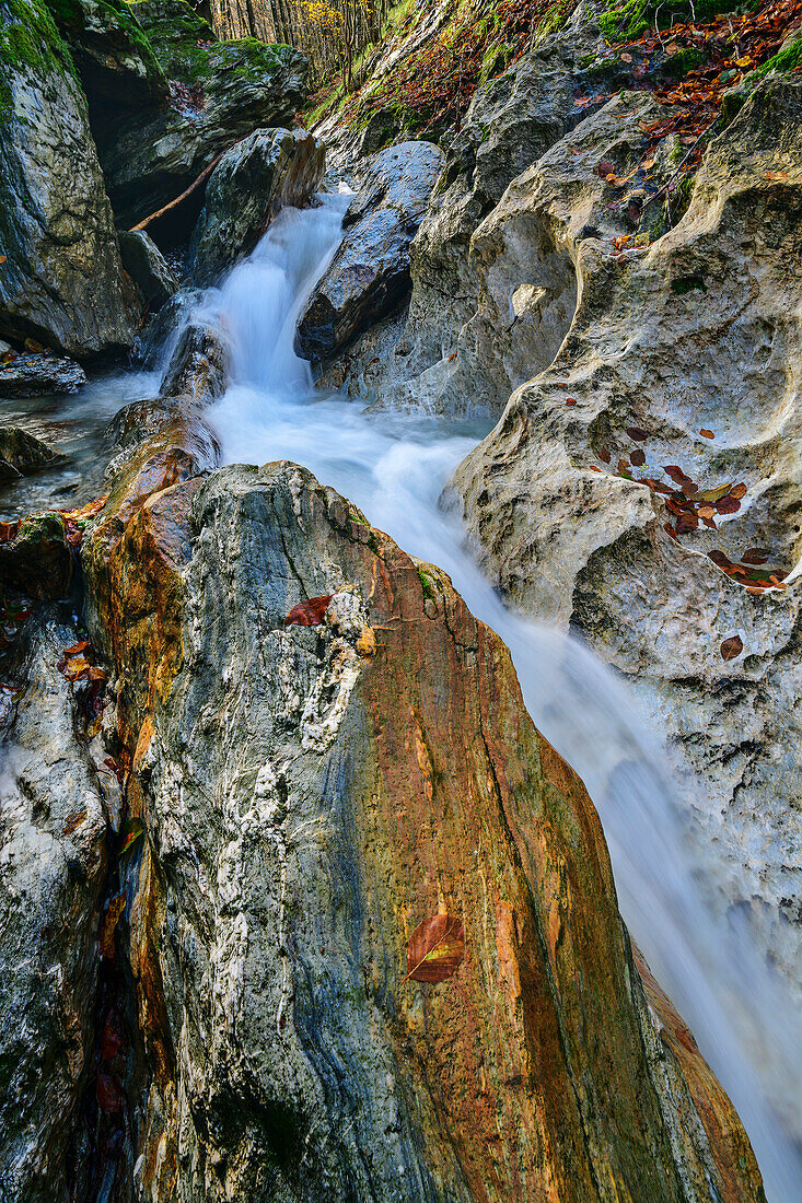 Bergbach fließt durch kleine Felsklamm, Monte Ronchi, Apuanische Alpen, Toskana, Italien