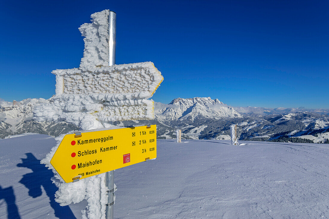  Icy signpost at the Schwalbenwand with Hochkönig in the background, Schwalbenwand, Salzburg Slate Alps, Salzburg, Austria 