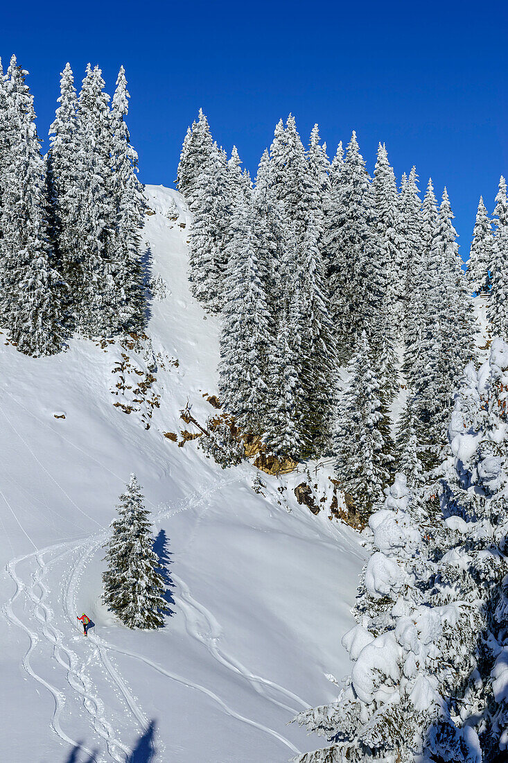  Woman hiking through winter forest up to Laber, Ammergau Alps, Upper Bavaria, Bavaria, Germany  