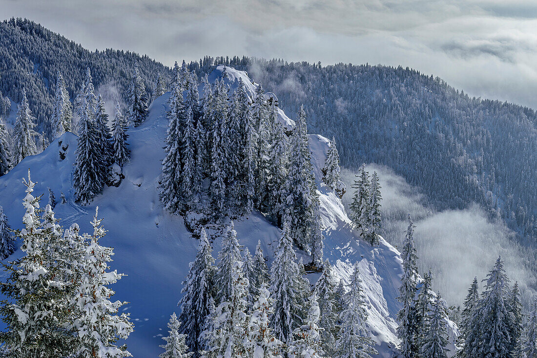 Blick vom Labergipfel auf Winterwald, Laber, Ammergauer Alpen, Oberbayern, Bayern, Deutschland 