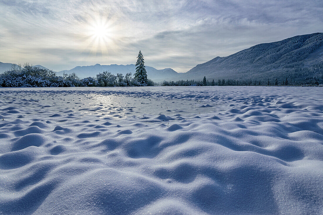  Snow-covered meadows in the Murnauer Moos, Murnau, Upper Bavaria, Bavaria, Germany  