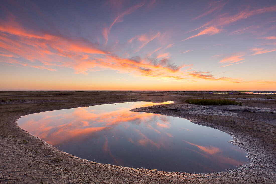  Evening atmosphere in the mudflats, Wadden Sea National Park, North Friesland, Schleswig-Holstein, Germany 