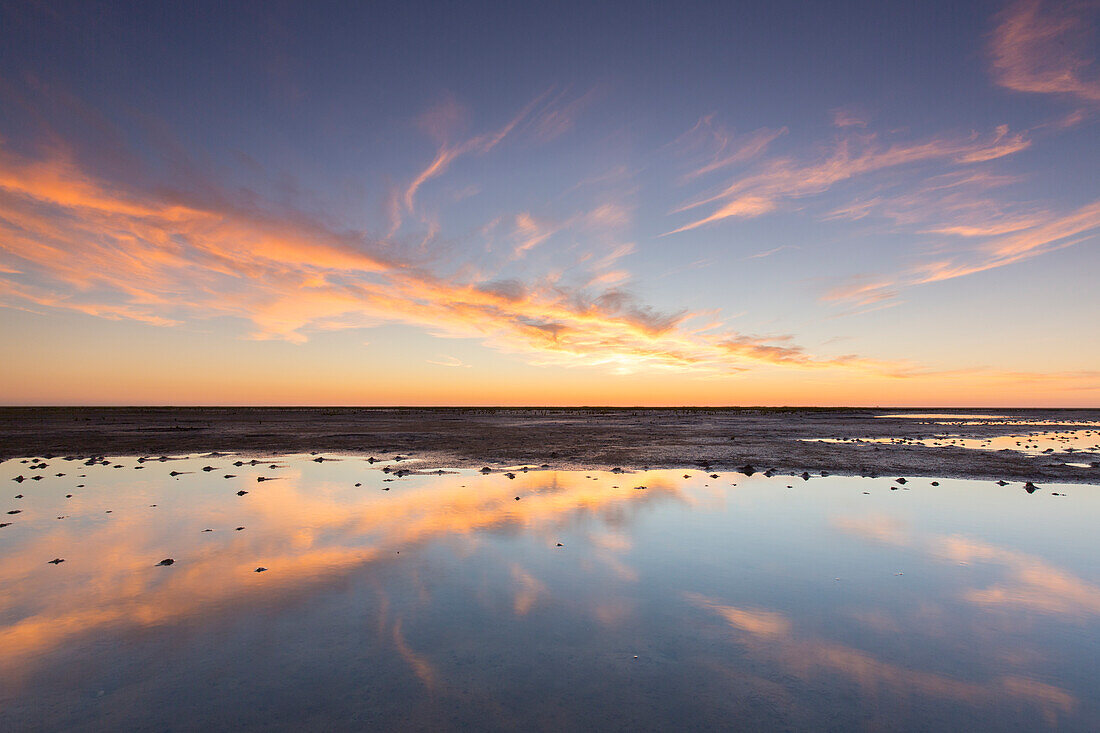  Evening atmosphere in the mudflats, Wadden Sea National Park, North Friesland, Schleswig-Holstein, Germany 