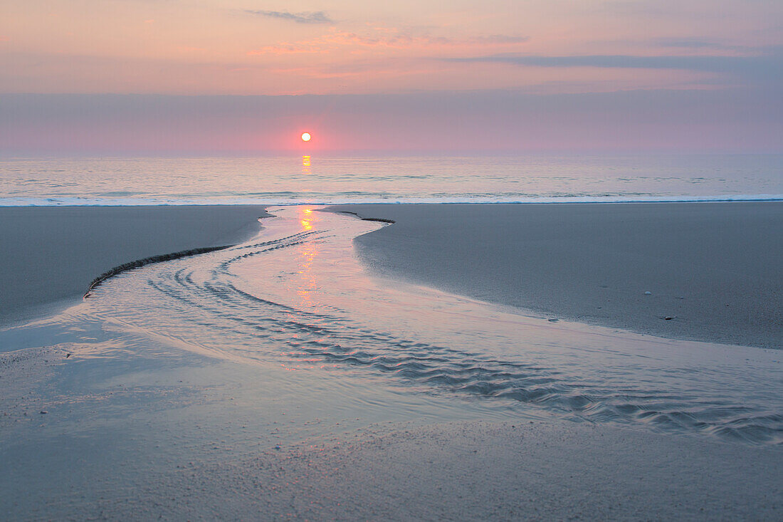  Evening atmosphere in the mudflats, Wadden Sea National Park, North Friesland, Schleswig-Holstein, Germany 