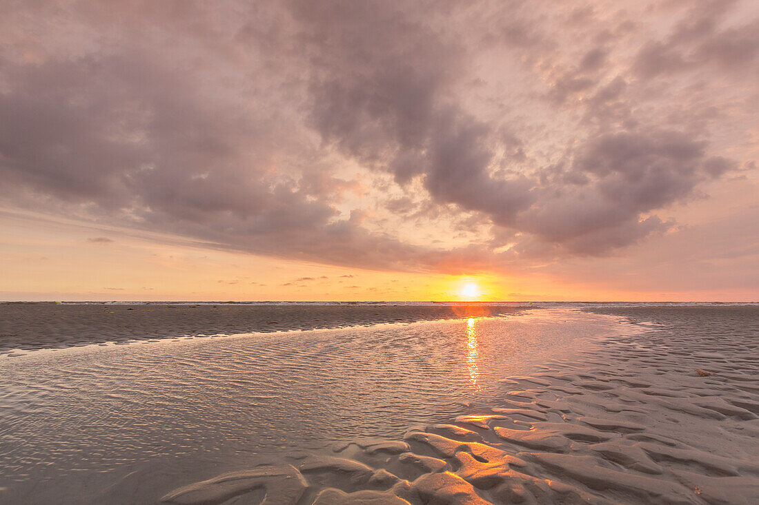  Evening atmosphere in the mudflats, Wadden Sea National Park, North Friesland, Schleswig-Holstein, Germany 