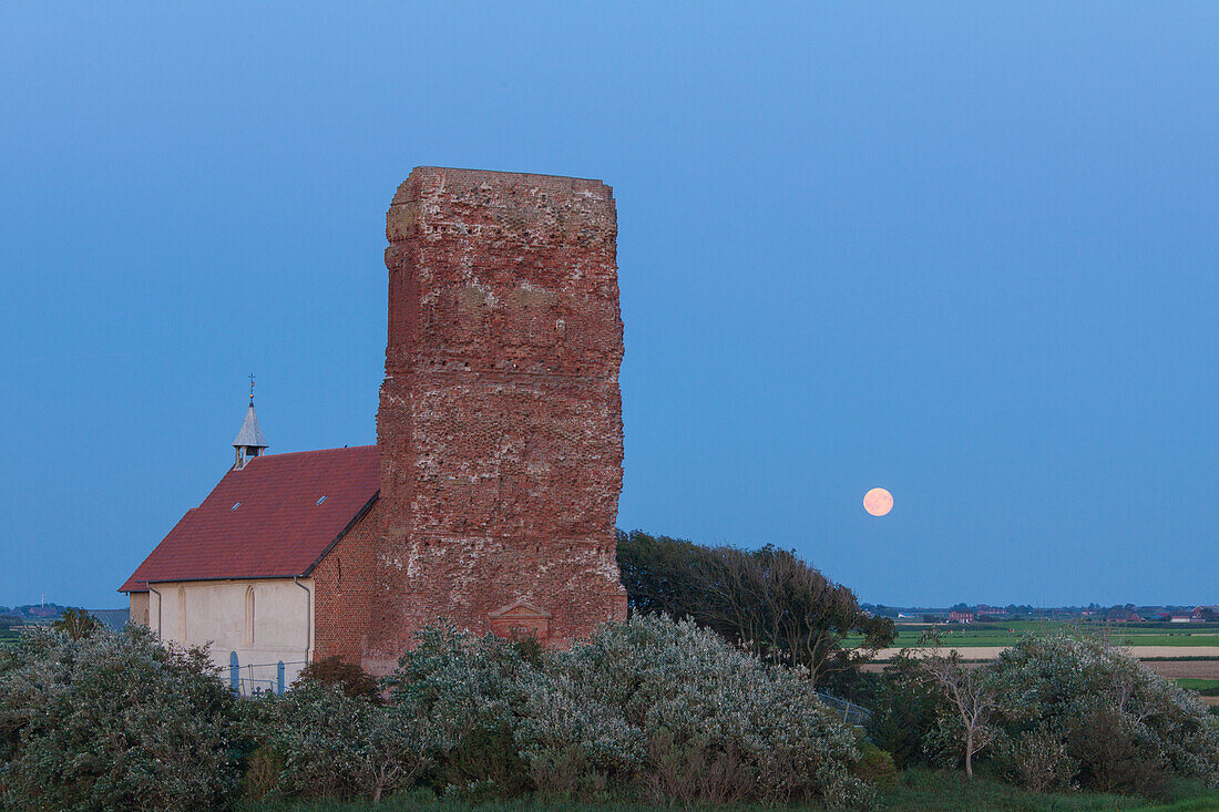 Salvatorkirche und Turmruine mit Vollmond, Insel Pellworm, Nordfriesland, Schleswig-Holstein, Deutschland