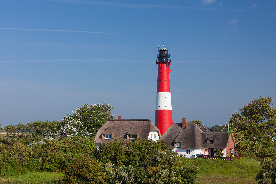  Lighthouse, Pellworm Island, North Frisia, Schleswig-Holstein, Germany 