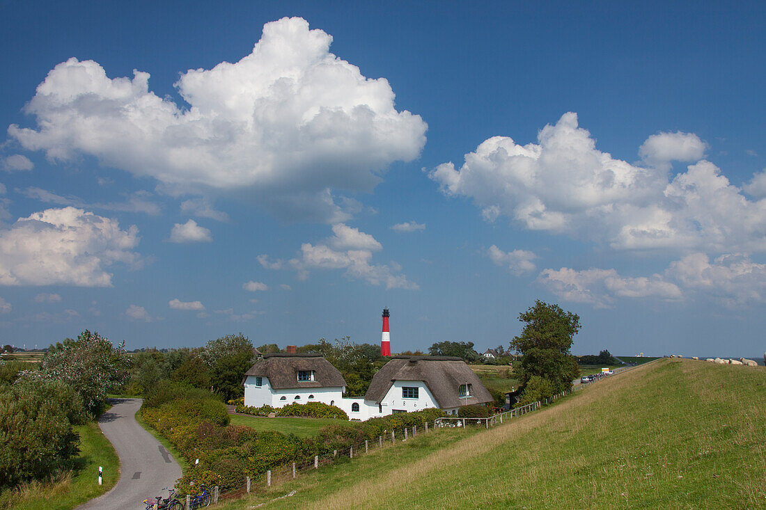 Leuchtturm, Reetdachhaus, Insel Pellworm, Nordfriesland, Schleswig-Holstein, Deutschland