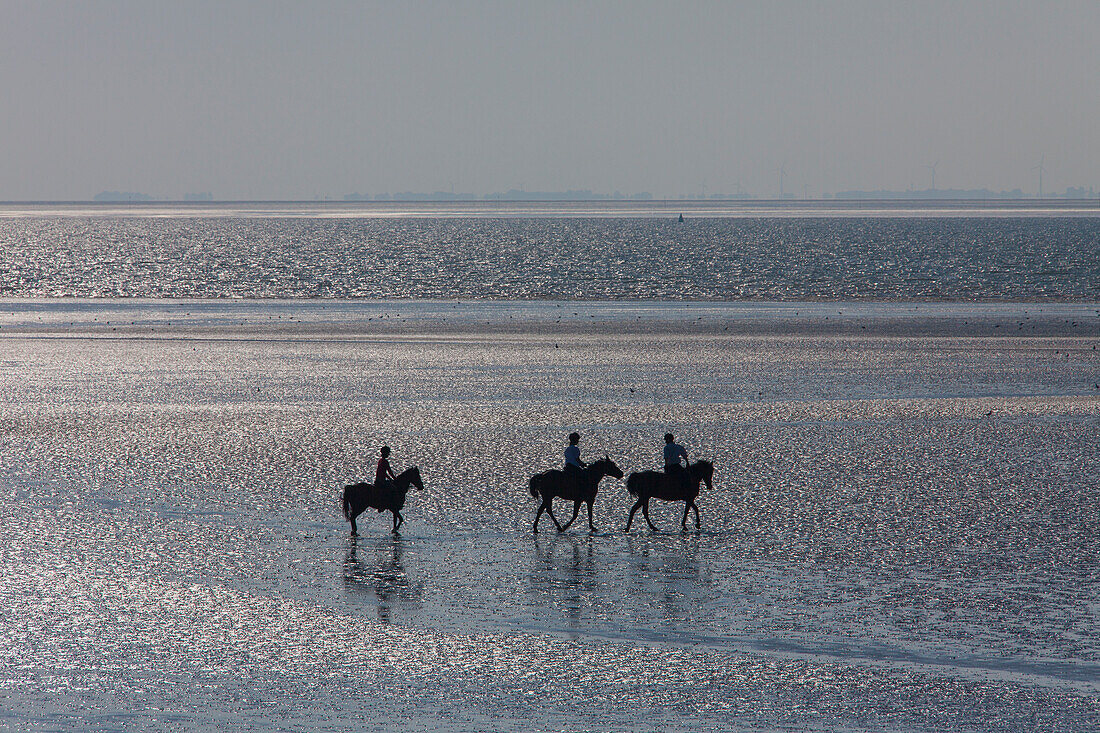 Reiter im Watt, Nationalpark Wattenmeer, Insel Pellworm, Nordfriesland, Schleswig-Holstein, Deutschland