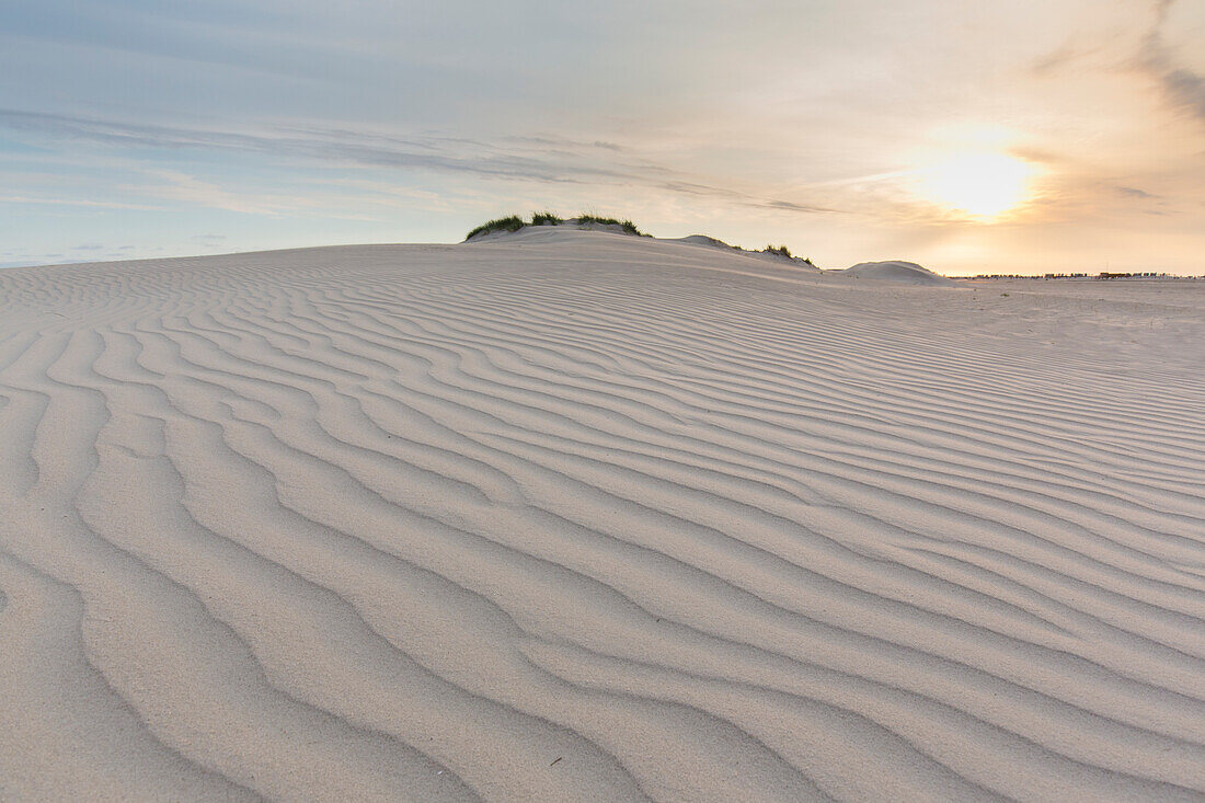  Ripple marks in the dunes, Wadden Sea National Park, Schleswig-Holstein, Germany 