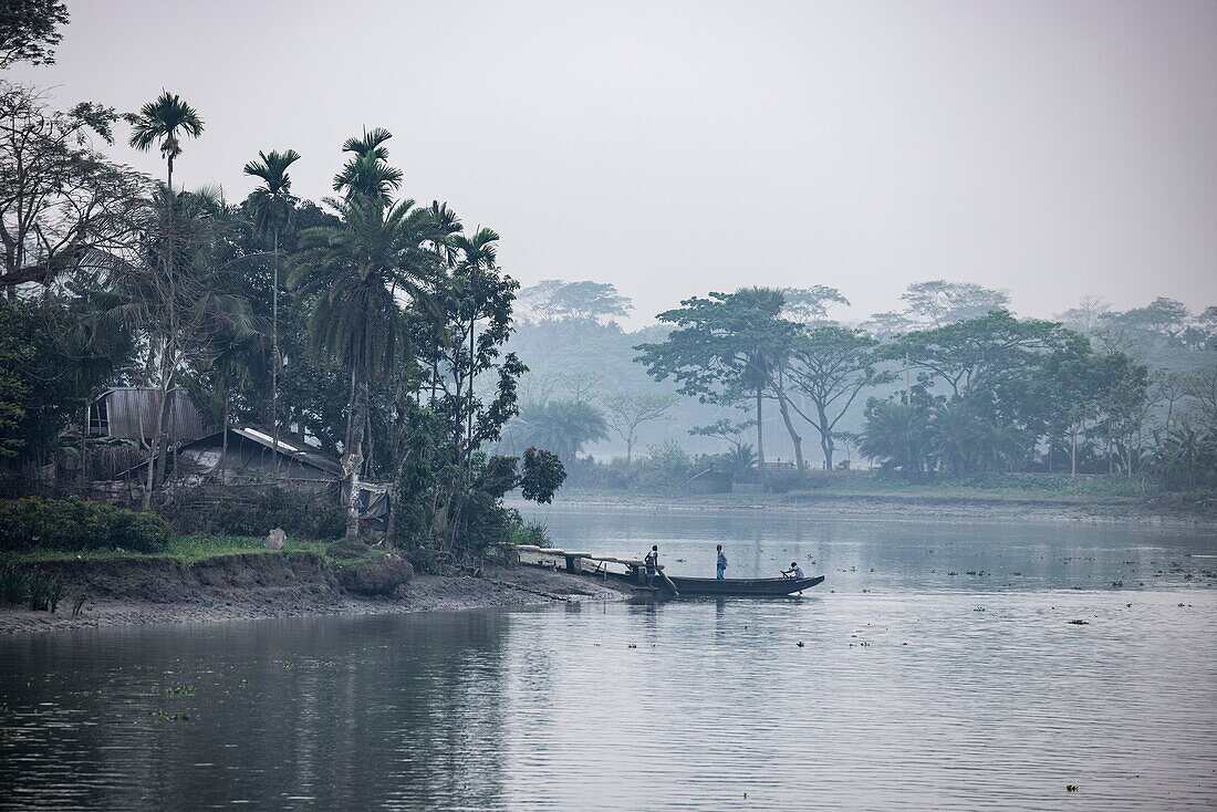  People on a canoe with trees along the misty coast, near Kaukhali (Kawkhali), Pirojpur District, Bangladesh, Asia 