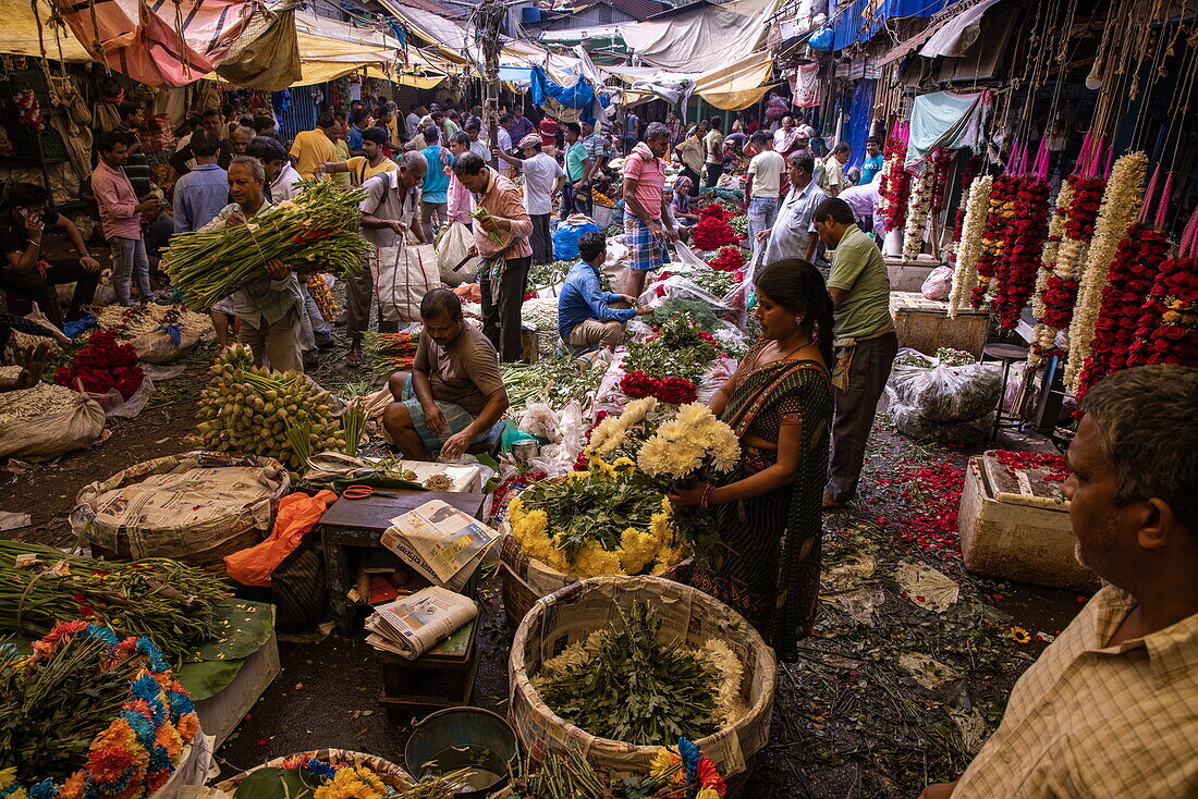  There is hustle and bustle everywhere at the Mullick Ghat Flower Market, Kolkata, Kolkata, India, Asia 