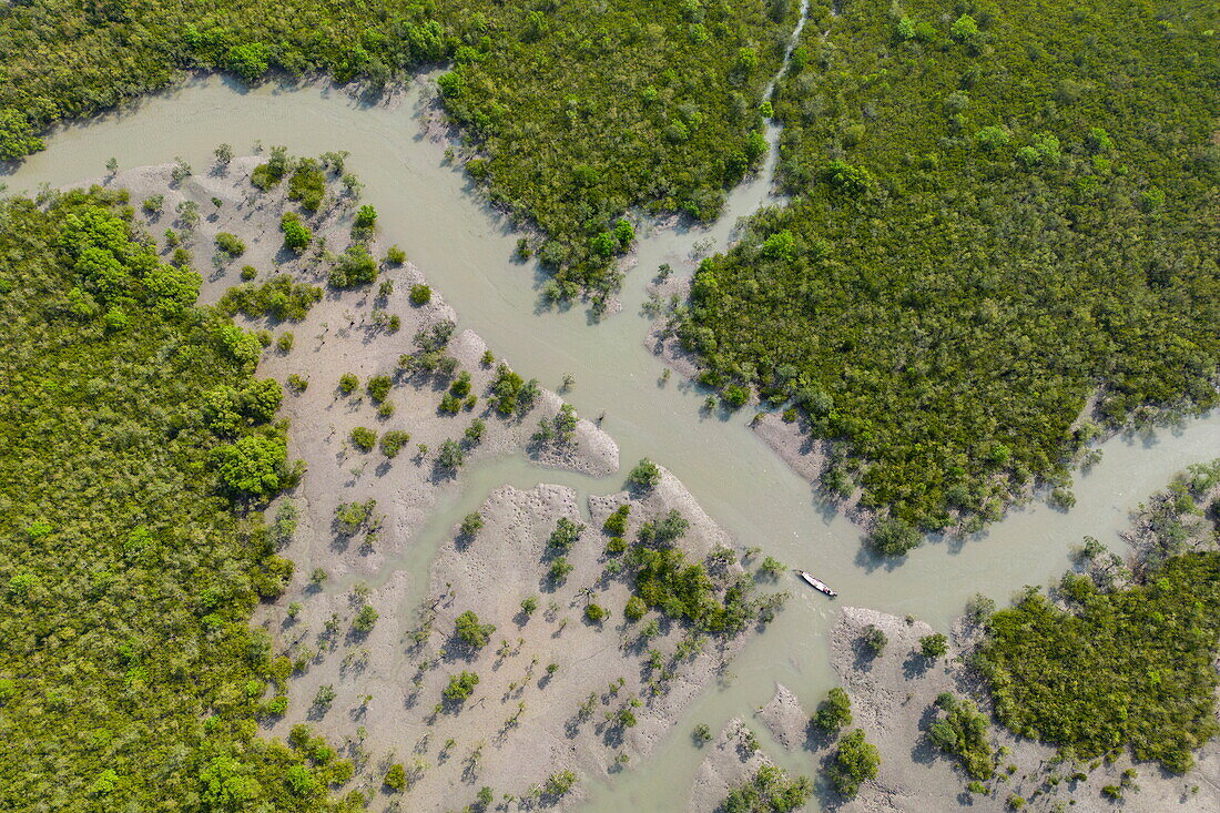  Aerial view of a canoe in the Sundarbans mangrove area, Pakhiralay, near Gosaba, South 24 Parganas District, West Bengal, India, Asia 